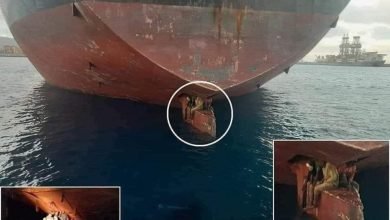 872137ad 0154 42c7 a6a6 76c10a7019ac