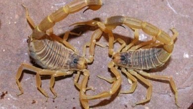 FB IMG 1652807475247