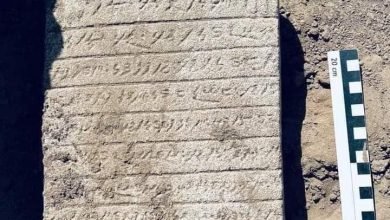 FB IMG 1678140682856