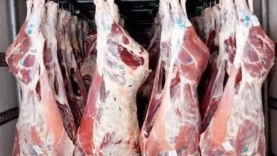 FB IMG 1678802906944