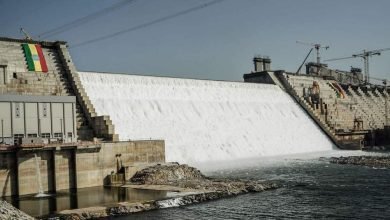 FB IMG 1679746748444