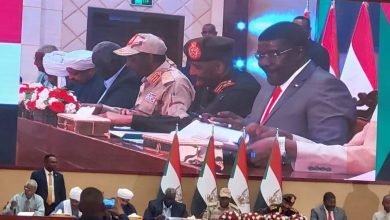 FB IMG 1680039023345