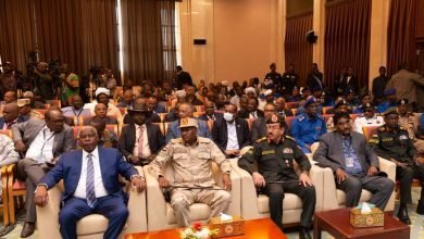 FB IMG 1680212262377