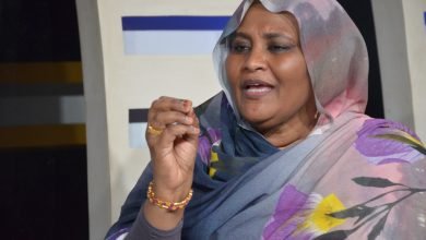 مريم الصادق تكشف موقفها من دمج الدعم السريع 17 IMG 20230307 WA0028