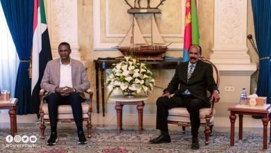 ماذا دار في لقاء أفورقي ودقلو؟ 14 IMG 20230313 WA0051