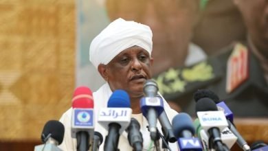 IMG 20230319 080311 059