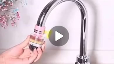 Screenshot 2023 03 06 18 49 57 400 edit comwhatsappw4b