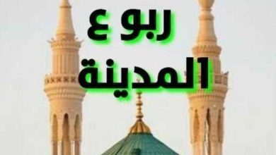 Screenshot 2023 03 11 10 01 08 232 edit comwhatsappw4b