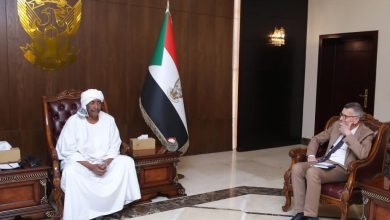 البرهان وفولكر