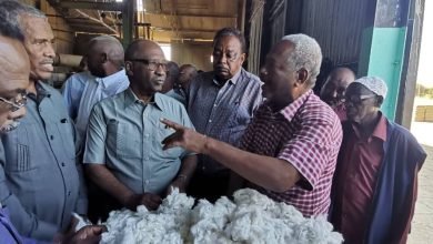 الجزيرة تدشن انطلاقة عمليات الحليج بموقع محالج مارنجان 16 الجزيرة