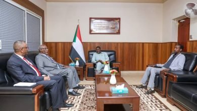 السيادي يوجه بتوسعة شبكة الانترنت 15 حجر 1