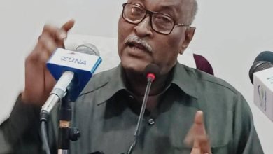 والي الجزيرة