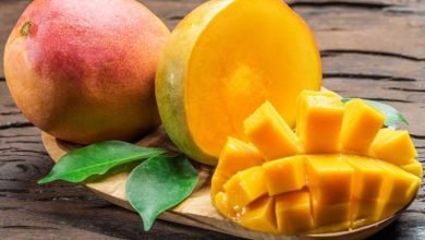 54862 فوائد المانجو