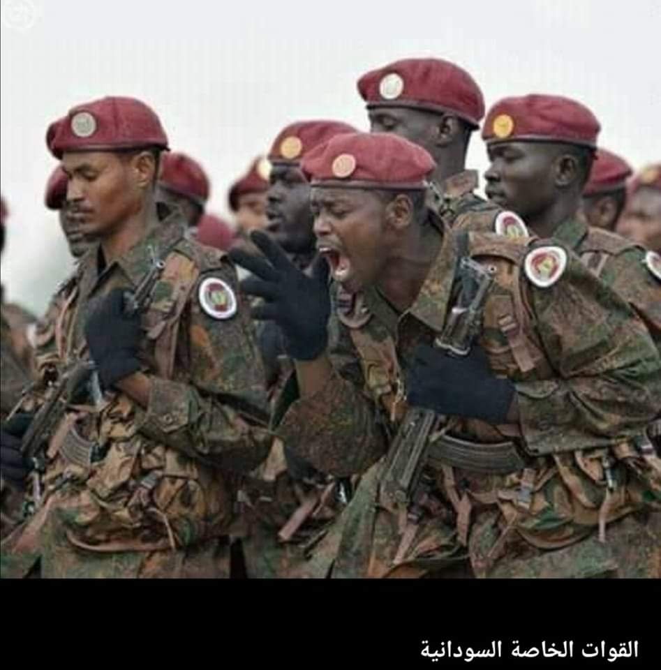 FB IMG 1682087595656