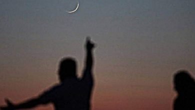 IMG 20230406 WA0001 1