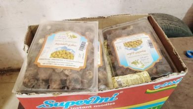 IMG 20230413 WA0006 1