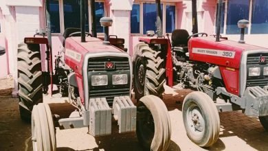 IMG 20230413 WA0056 1