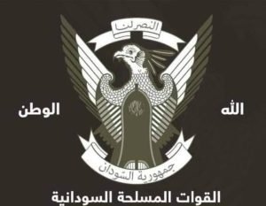 الكشف عن أسماء شهداء طائرة الفاشر