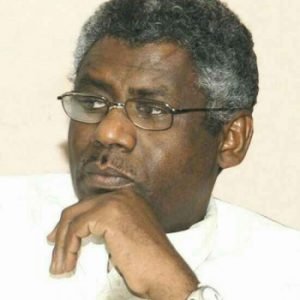 عادل الباز: لماذا يرفض الإسلاميون الهدنة وماذا سيخسرون؟ 12 عادل الباز: لماذا يرفض الإسلاميون الهدنة وماذا سيخسرون؟