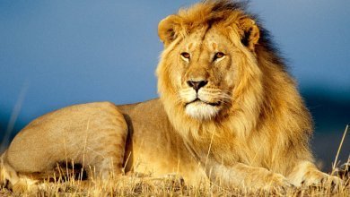 7f062f22 c9f4 4f45 9b5e c423e871a90f 1