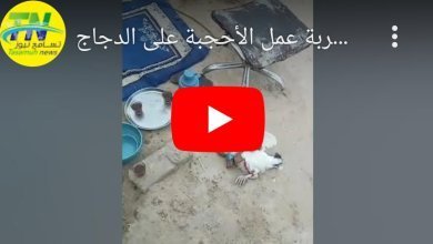 Screenshot 2023 07 31 21 39 52 206 edit comandroidchrome