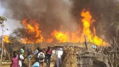 بالصور ..حرق منطقة كاملة بجنوب كردفان 19 IMG 20230815 WA0038