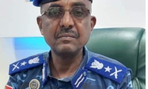 الفريق حسان يوجه بدعم طبي لولاية الجزيرة