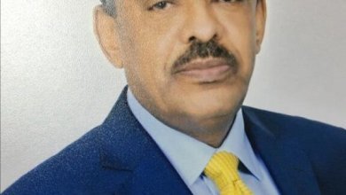 مريم ابشر 576x470 1