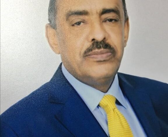 مريم ابشر 576x470 1