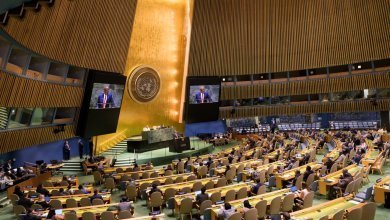 559213 DfTtzSdd57hmcbINaSH 6rrYqP6U8TW2