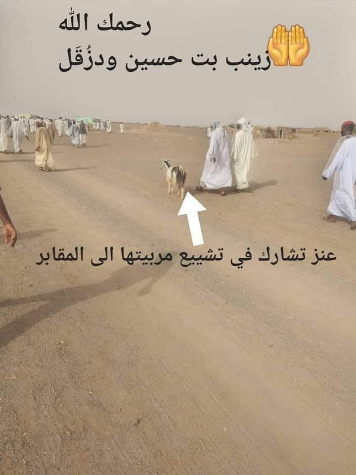 IMG 20230909 WA0000