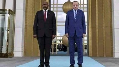 IMG 20230913 WA0031 1