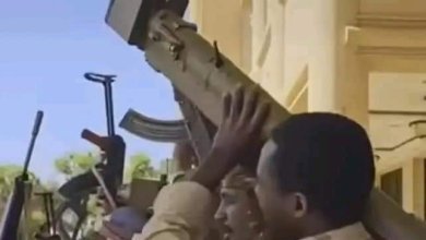 FB IMG 1685081254977 edit 361754666693757