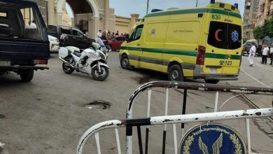 IMG ٢٠٢٣١٠٠٨ ١٢٥٢٥٢ 780x470 1