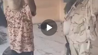 Screenshot ٢٠٢٣١٠٢٧ ١٢٤٧٥٩ WhatsAppBusiness