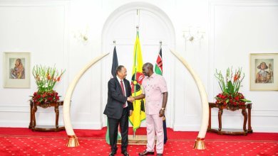 20231116 231954 1024x683 1