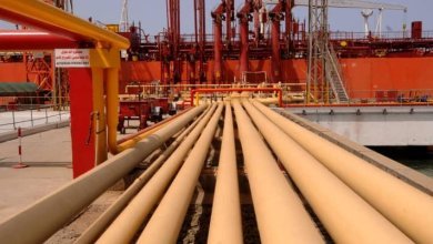 561466 eltlbe6Os1SEDE39A8ZdZgzLC3ihSLtw