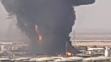 Screenshot ٢٠٢٣١١٠٧ ١٧٣٤٠٦ WhatsAppBusiness