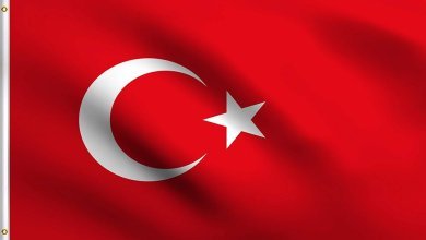 61QVqsbKsiL. AC UF10001000 QL80