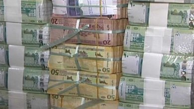 882D7753 D6F1 4530 B554 9692823AB8BA 1