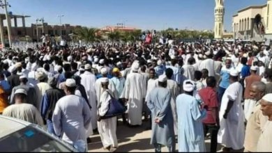 IMG 20231223 WA00071