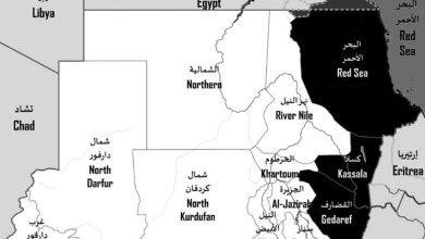 عاجل ..إعلان الإستنفار بالبحر الأحمر 14 IMG 20231223 WA00151