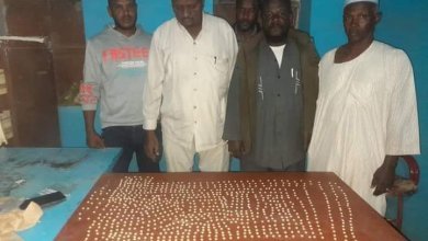 IMG 20231228 WA0022 1