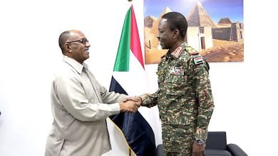 أول ظهور لـ"كباشي" بعد غياب 19 كباشي