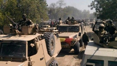 IMG 20240119 WA02791