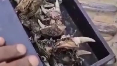 Screenshot ٢٠٢٤٠١٢٢ ٠٩٠٨١٤ WhatsAppBusiness