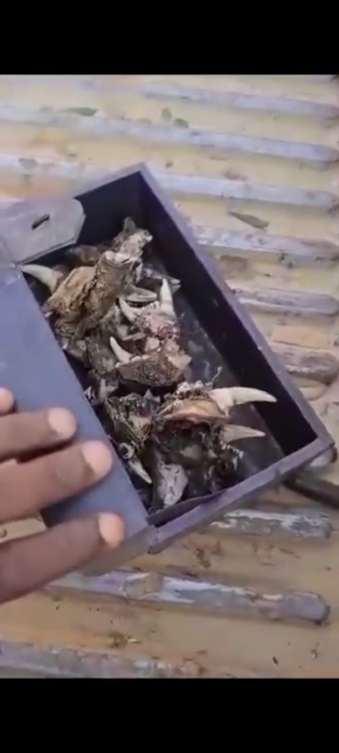 Screenshot ٢٠٢٤٠١٢٢ ٠٩٠٨١٤ WhatsAppBusiness