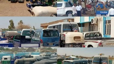 IMG 20240327 WA02071