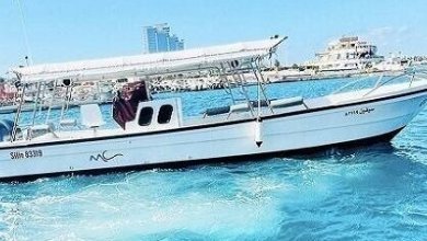 العثور على جثمان لفتاة في حادث سنجنيب 18 sfn 2 420x288 1