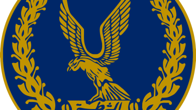 قرارات مهمة لوزير الداخلية بشأن الوجود الأجنبي 16 الداخلية المصرية